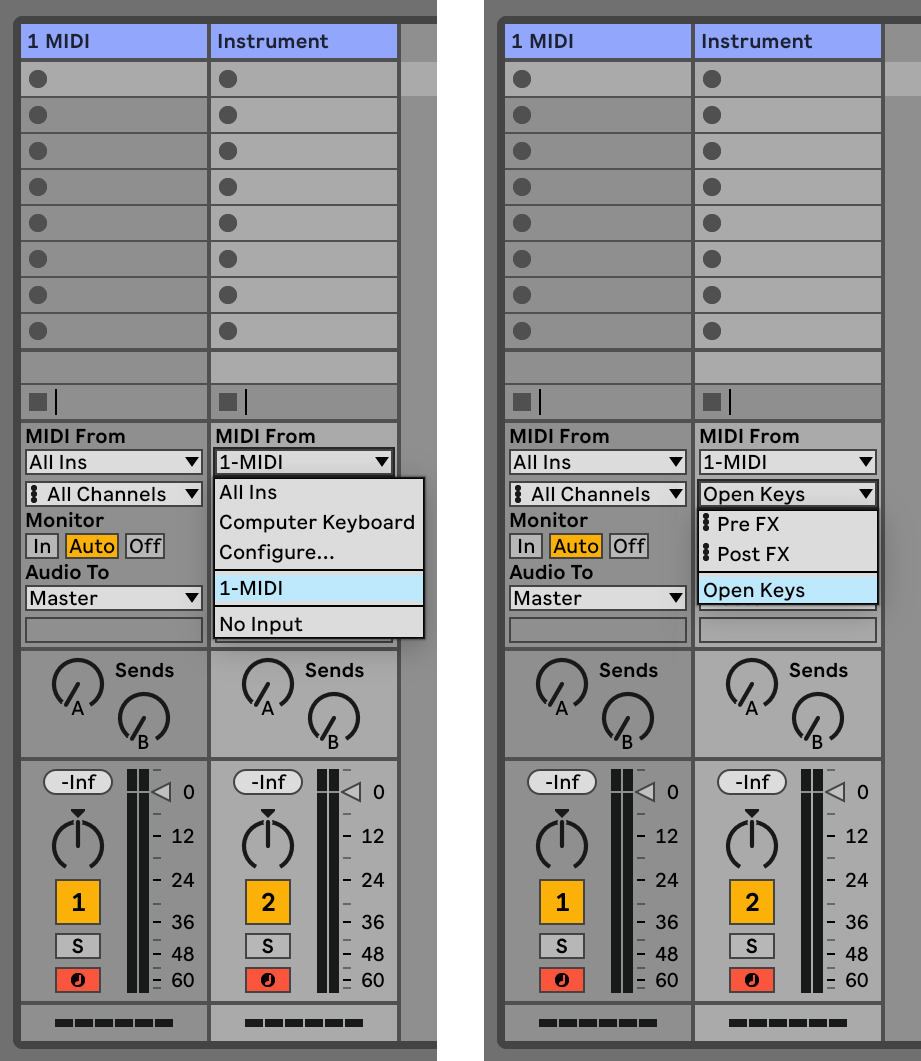 Ableton Live Setup
